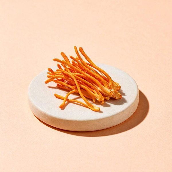Cordyceps