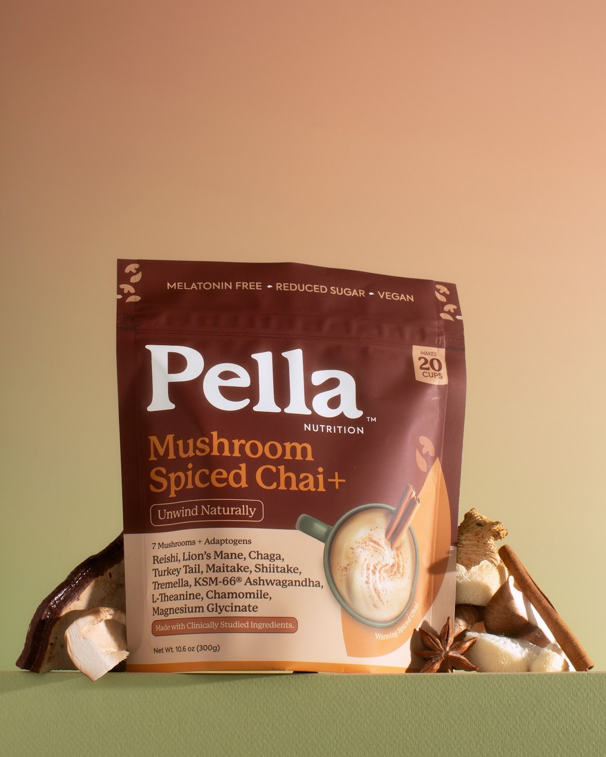 Mushroom Spiced Chai+ bag with cinnamon, star anise and mushrooms