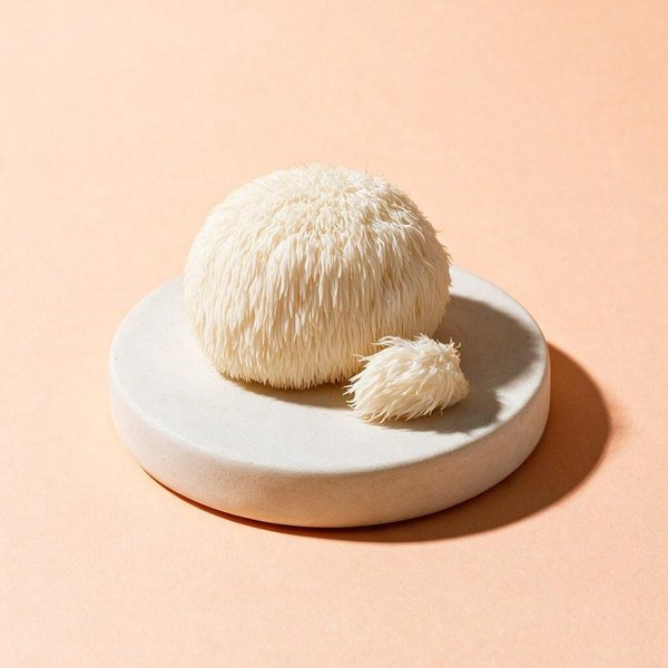 Lion’s mane